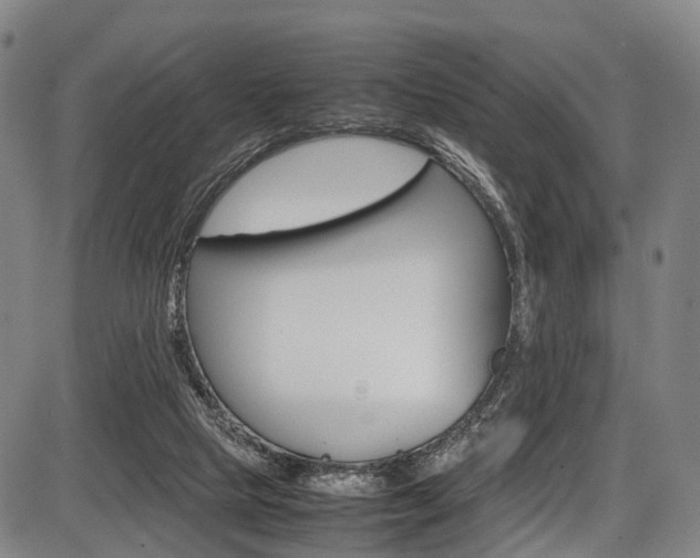 X0000087620065200704271147