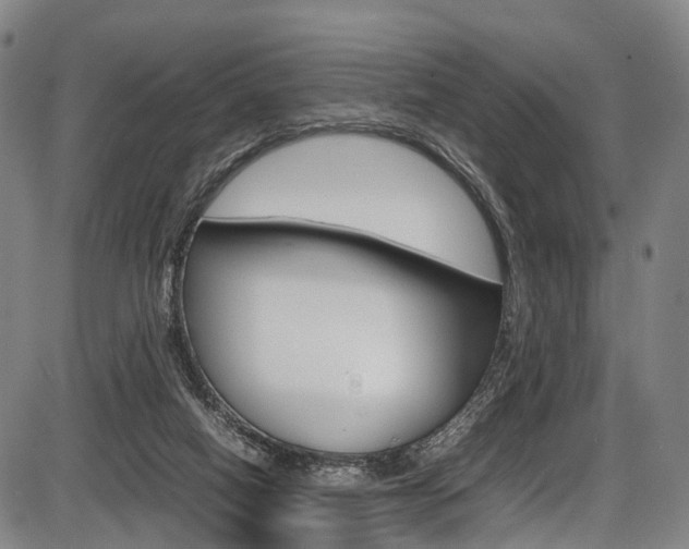 X0000087620066200704271147