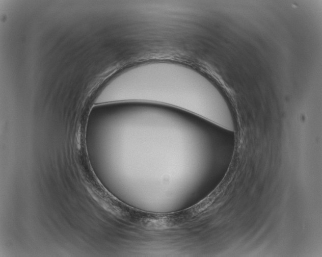 X0000087620068200704271147