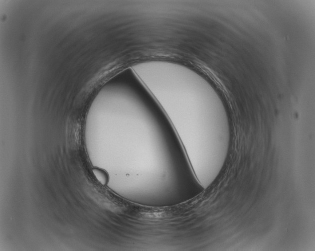 X0000087620071200704271147