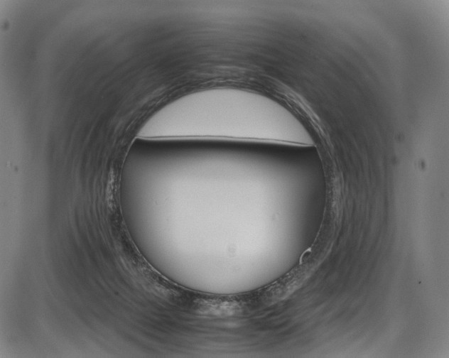 X0000087620073200704271147