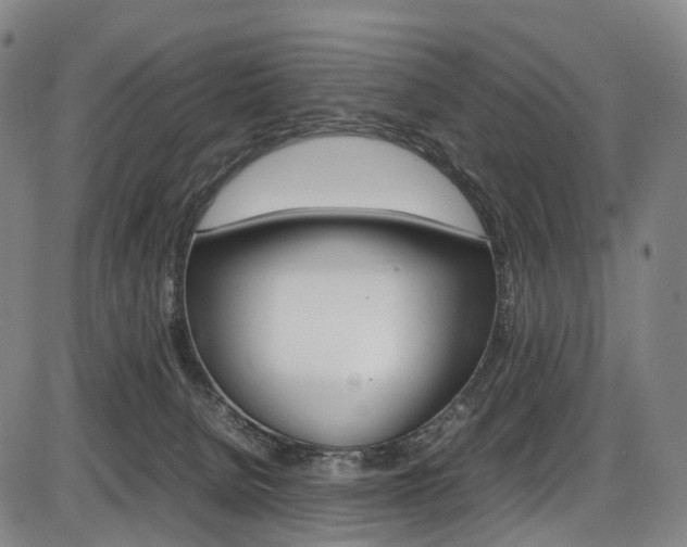 X0000087620080200704271147