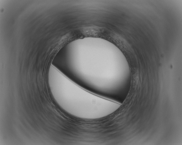X0000087620081200704271147