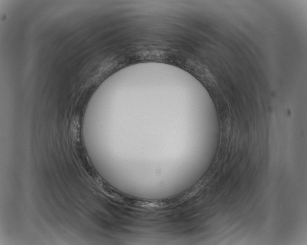 X0000087620083200704271147