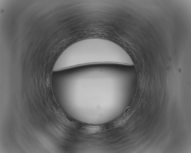X0000087620085200704271147