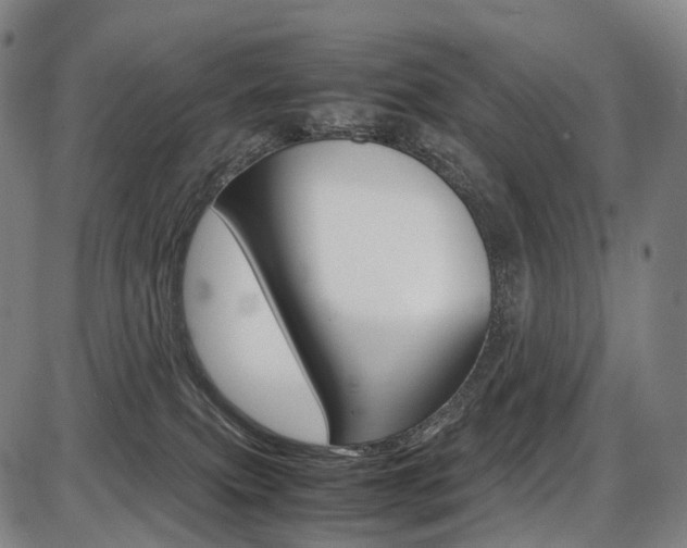 X0000087620087200704271147