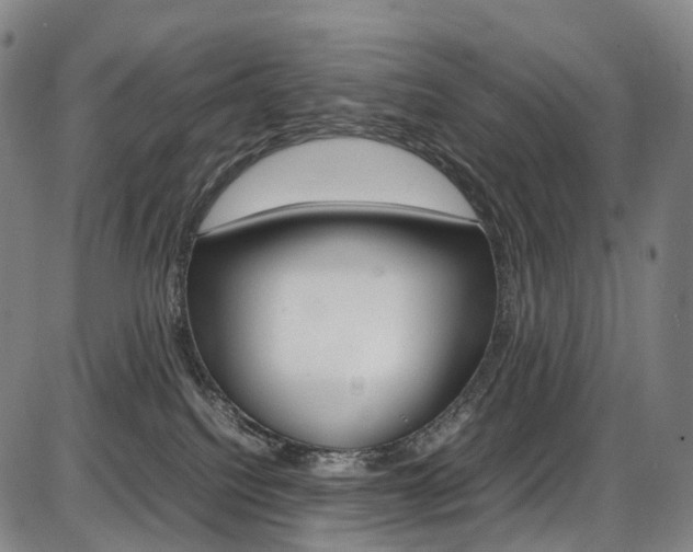 X0000087620088200704271148
