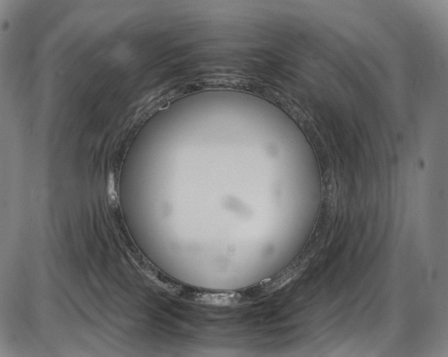X0000087620089200704271148