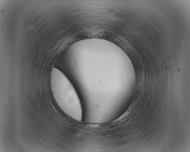 X0000087620090200704271148