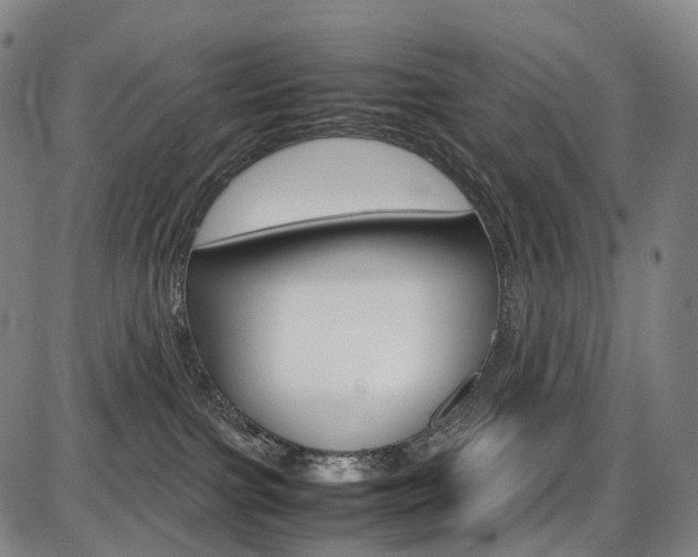 X0000087620091200704271148