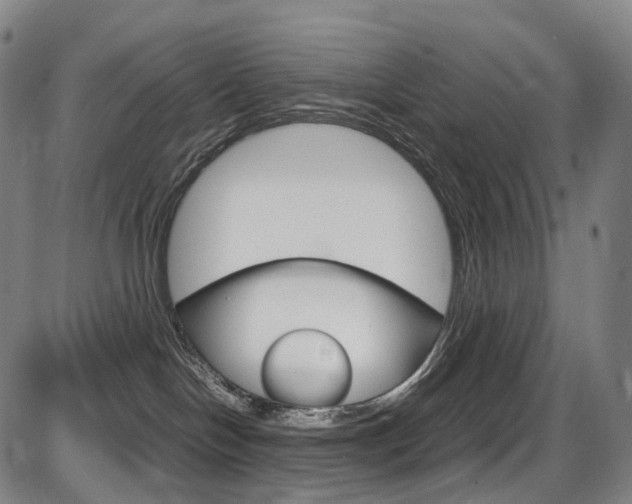 X0000087620094200704271148