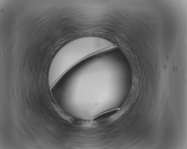 X0000087620096200704271148