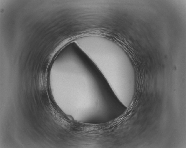 X0000087620100200704271147