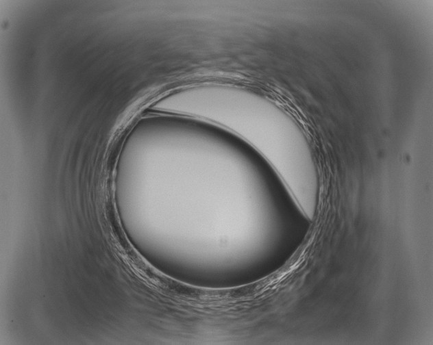 X0000087620101200704271147