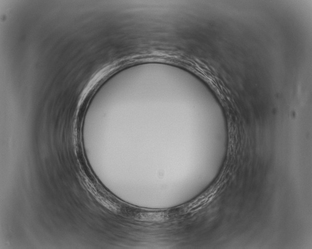 X0000087620102200704271147