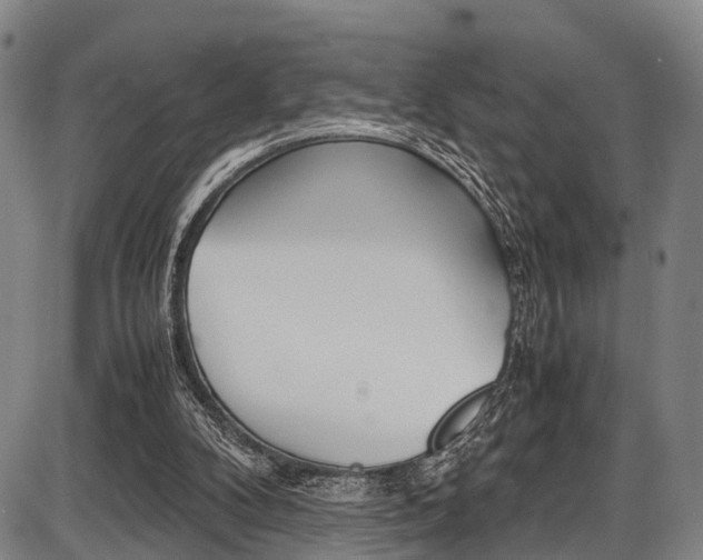 X0000087620104200704271147