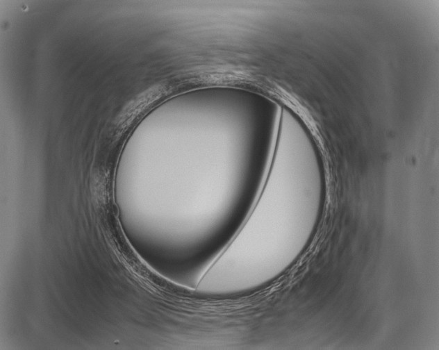 X0000087620105200704271147