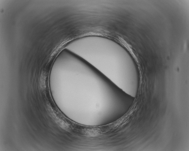 X0000087620106200704271147