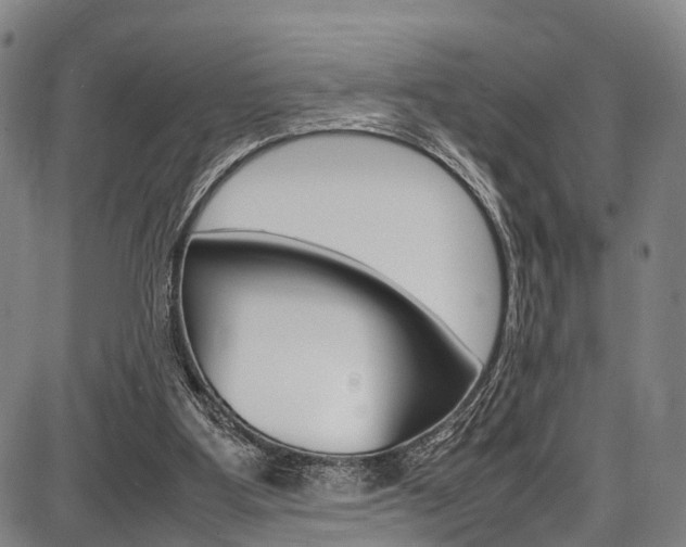 X0000087620107200704271147