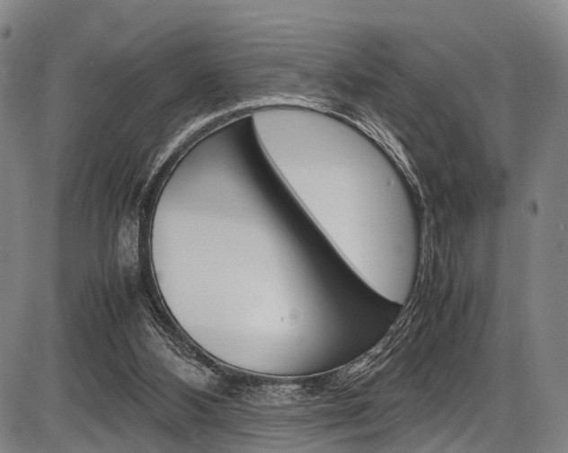 X0000087620108200704271147