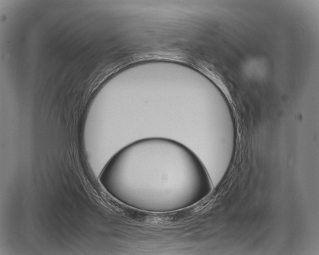 X0000087620109200704271147