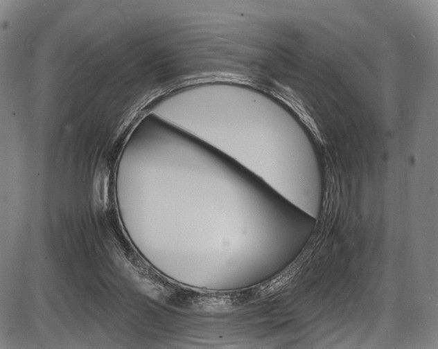 X0000087620110200704271147