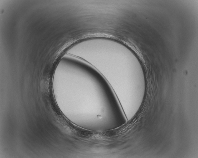 X0000087620111200704271147