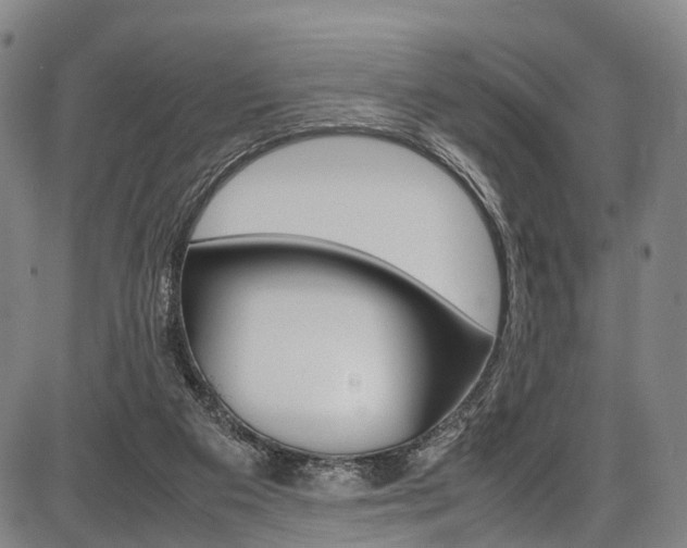 X0000087620113200704271147