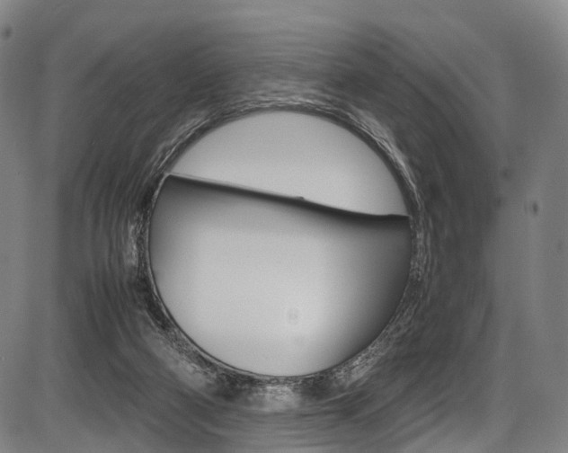 X0000087620114200704271147