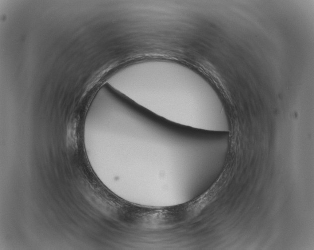 X0000087620116200704271147