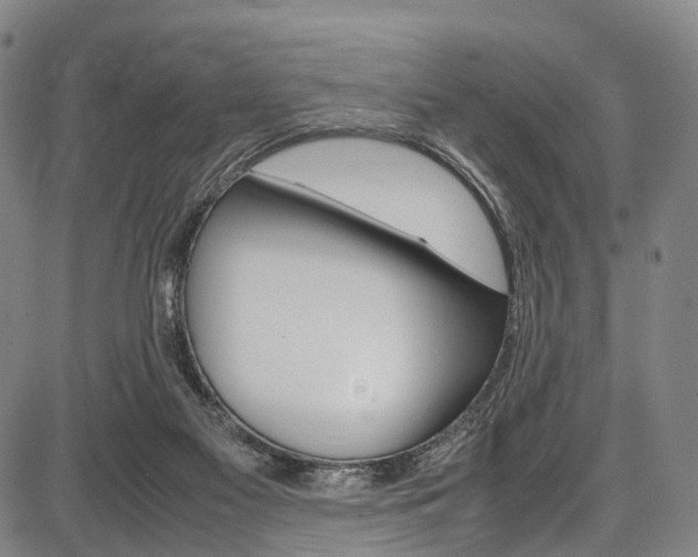 X0000087620117200704271147