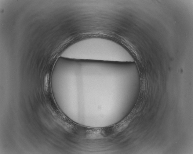 X0000087620118200704271147