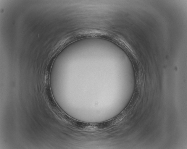 X0000087620119200704271146