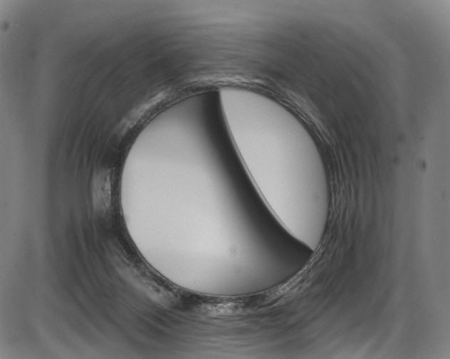 X0000087620120200704271146