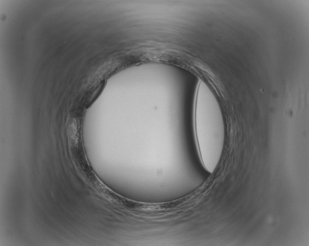 X0000087620121200704271146
