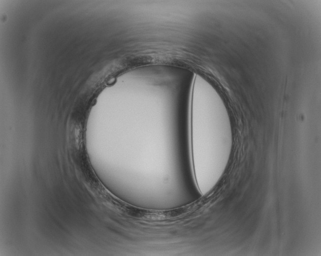 X0000087620123200704271146