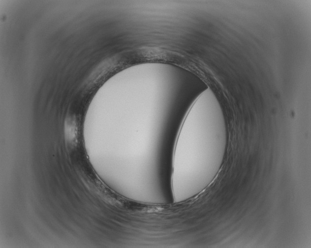 X0000087620124200704271146