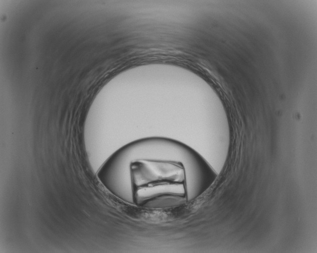 X0000087620125200704271146