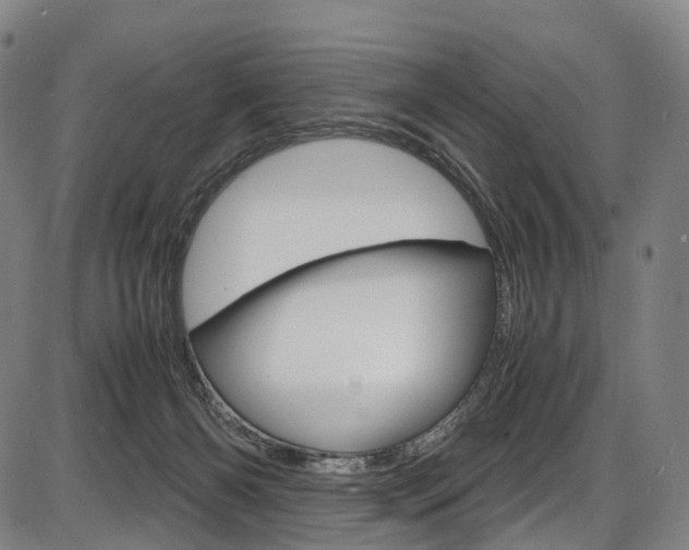 X0000087620126200704271146