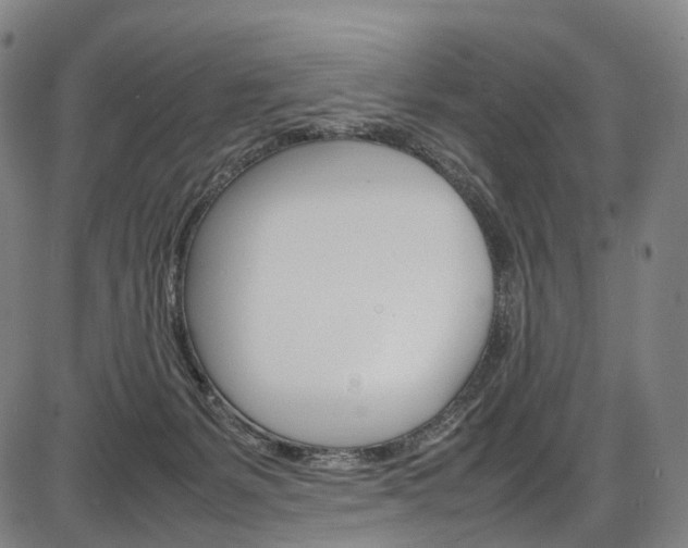 X0000087620127200704271146