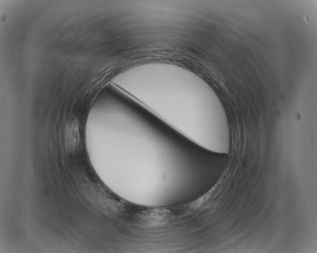 X0000087620128200704271146