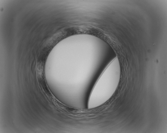 X0000087620129200704271146