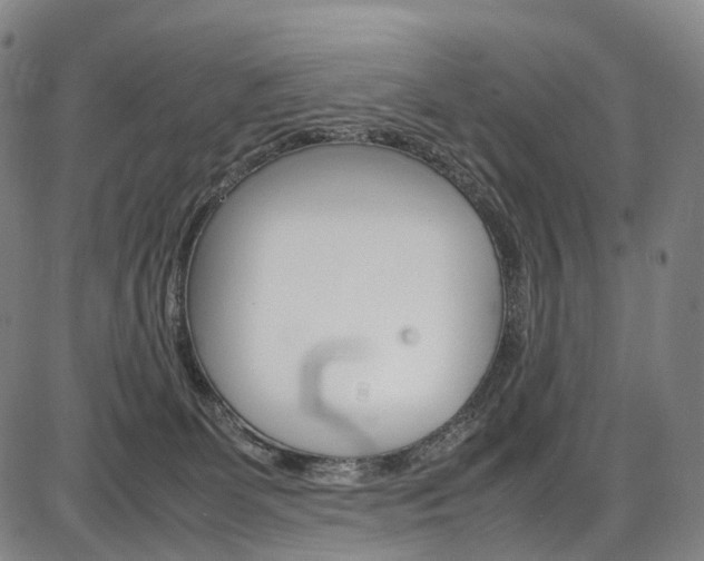 X0000087620131200704271146