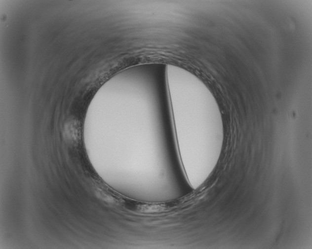 X0000087620135200704271146