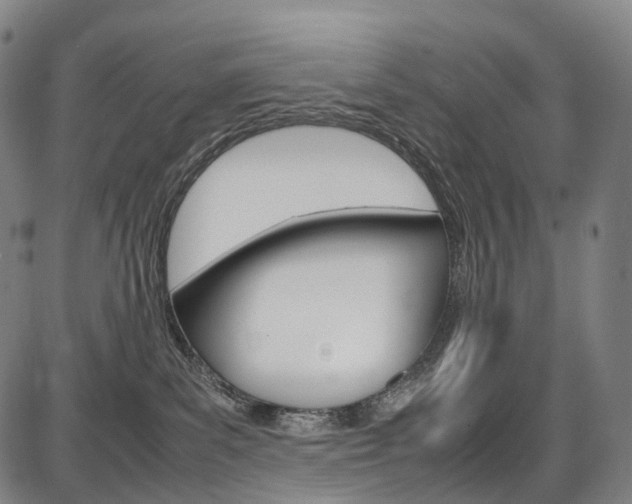 X0000087620139200704271146