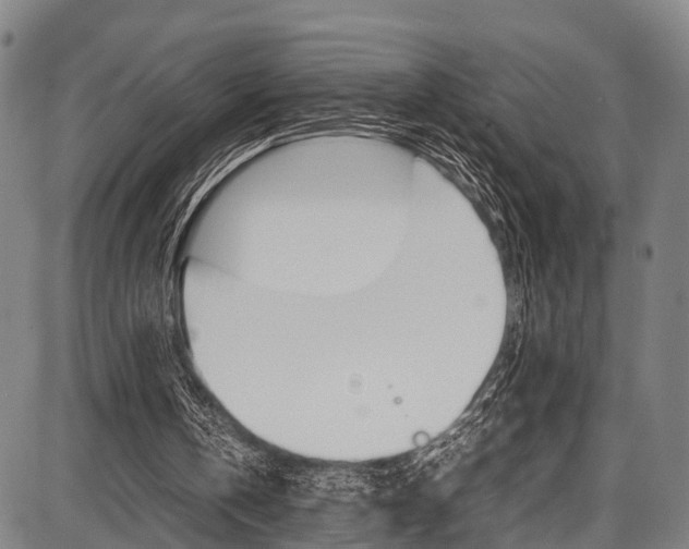 X0000087620146200704271145