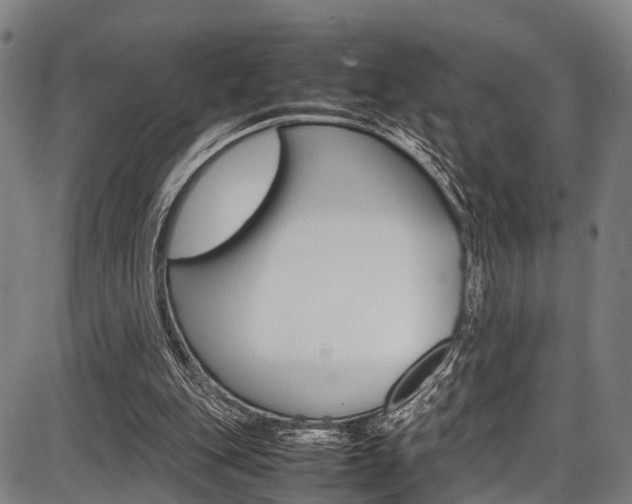 X0000087620151200704271145