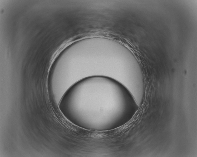 X0000087620152200704271145