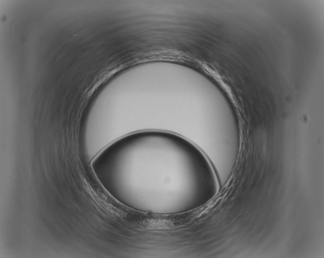 X0000087620154200704271145