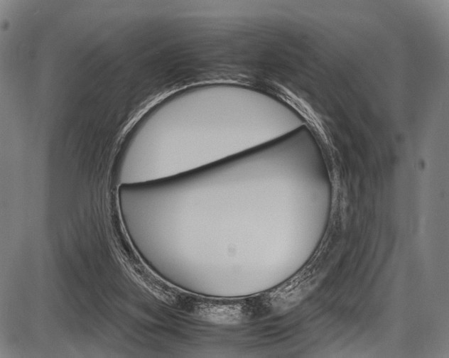 X0000087620155200704271145